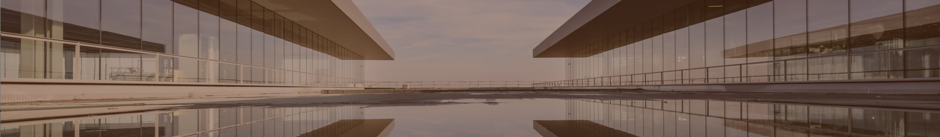 Descubre nuestros proyectos